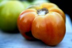 Tomato Tomato