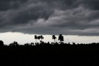 tiempo en cuba tiempo en cuba