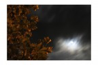 Luna nascosta Luna nascosta