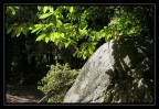 luce luce