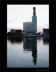 Narcisismo industriale.... Narcisismo industriale....