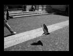 037 037