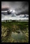 Verso il mare Verso il mare