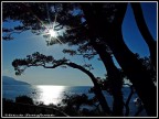 Contro il sole del tramonto..... Contro il sole del tramonto.....