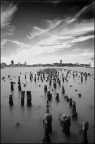 New York New York