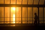 Luce Luce