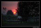 Tramonto Tramonto