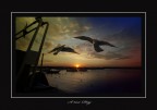 a new day a new day
