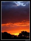 Alba Alba