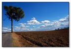 Terre trasimene 1 Terre trasimene 1