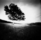 pinhole d'un noce
