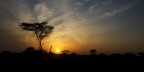 Alba al Serengeti Alba al Serengeti