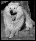 Uaaaahhhhhh Uaaaahhhhhh