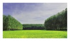 Geometria di campagna