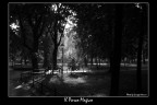 Il Parco Magico Il Parco Magico