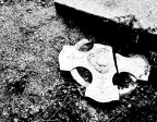 broken... broken...