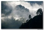 All'alba del mondo All'alba del mondo
