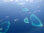 Maldive
