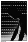 Self Portrait -2- Self Portrait -2-