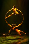 Danza-#-12 Danza-#-12