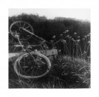 Rolleiflex Automat 1B
Fortepan 100
Bromofort BH-4

Boh, potrebbe intitolarsi "On the hill" per implicita e personale associazione con una scena del film Il t� nel deserto. Non un granch�, di per s�, ma forte nei significati di fondo.