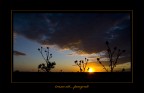 tramonti..pungenti tramonti..pungenti