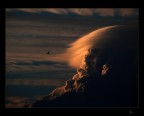 img_6631 img_6631