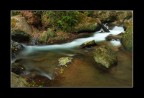 Torrente Torrente