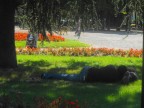 il riposo il riposo