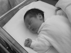 12 hours old (bw) 12 hours old (bw)