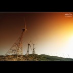 ...i giganti silenziosi.