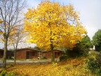 AUTUNNO LUCANO AUTUNNO LUCANO