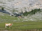MALGA FANES 2 MALGA FANES 2