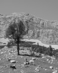 malga fanes 1 malga fanes 1