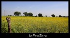 LA MARCILIANA LA MARCILIANA