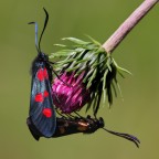 a triangolo ... ma in due