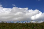 cielo e terra cielo e terra