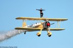 Wing Walkers Wing Walkers
