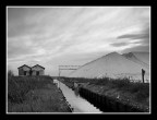 ...ALLA VECCHIA SALINA...