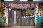 Lavaggio volpi Lavaggio volpi