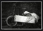 03_Biciclette 03_Biciclette
