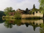 Riflesso Riflesso