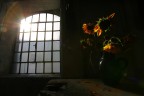 luce e ombra luce e ombra