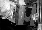 mani e strumento del musicista mani e strumento del musicista