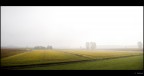 campi della "bassa" campi della "bassa"