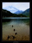 Lago di Cavazzo Lago di Cavazzo