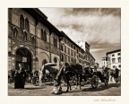Firenze, cavalli e carrozze