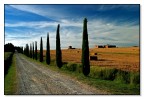 Terre Trasimene 7 Terre Trasimene 7
