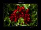 Peppers