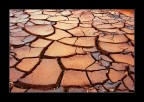 The earth's skin puzzle The earth's skin puzzle